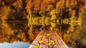 4 октября: какой праздник сегодня, что нельзя делать, приметы и именинники