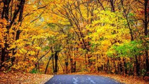 22 октября: народные обычаи, приметы погоды и главные запреты дня