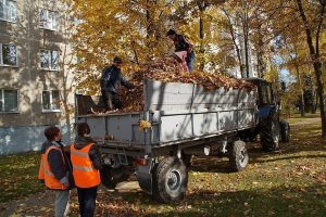 Что в Славянске делать с опавшей листвой
