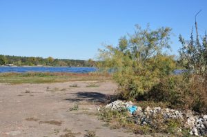 Что обустроят возле озера Репное в Славянске