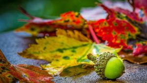 28 октября: что нельзя делать, народные обычаи и приметы