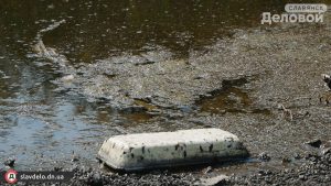 Небезпечні водойми: у Слов’янську активісти планують зняти фільм про місцеву річку, яка забруднена хімікатами