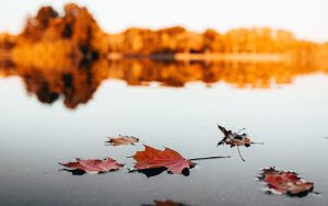 21 октября: какой сегодня день, праздник, приметы, традиции, День ангела