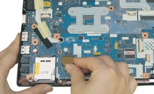 Где купить лосось в Киеве?