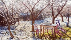 Пять дел, которые вам надо завершить в огороде до холодов