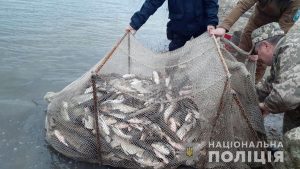 В Донецкой области полицейские изъяли незаконно выловленную рыбу на 2 млн гривен