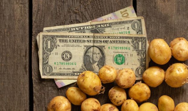 Картопля очолила список найдорожчих овочів світу