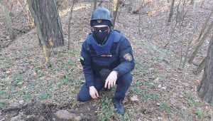 Под Святогорском саперы обнаружили оружие