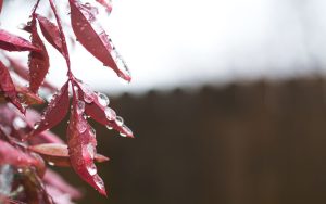 Народные приметы, обряды и обычаи 29 ноября