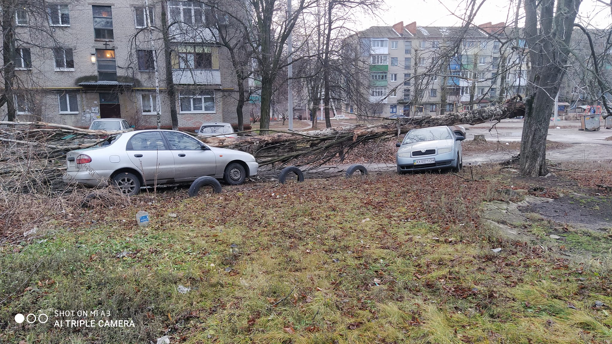 260628358 1252713231917557 7460591043611842040 n