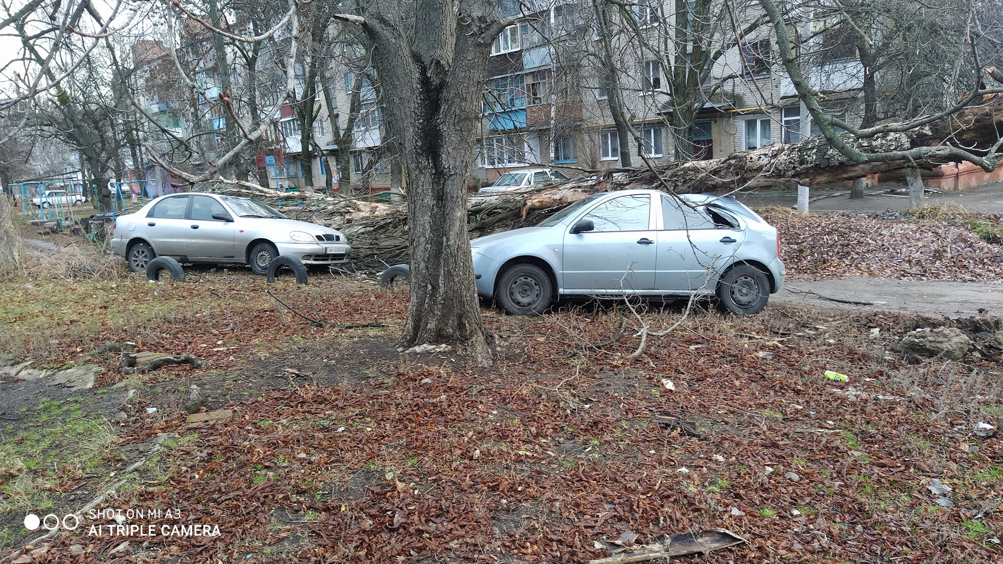 260702563 1252713415250872 2948884729791794766 n