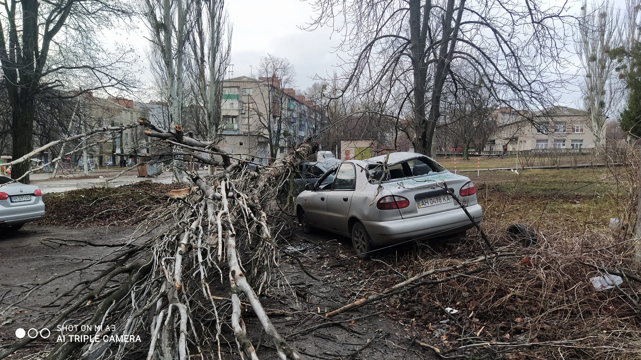 261414957 1252713275250886 4651566560110953243 n