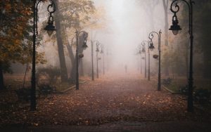 Какой завтра праздник – все о 18 ноября, церковный праздник, что нельзя делать