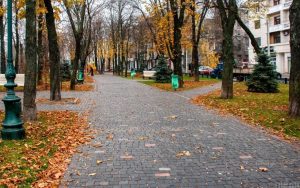 Народные приметы, обряды и обычаи 24 ноября