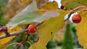 Приметы на 2 ноября: что нельзя делать в день Артемия и как не попасть в беду