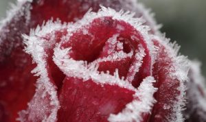 Какую погоду ждать жителям Донбасса в ближайшее время