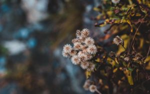 Все о 26 ноября, церковный праздник, что запрещено делать