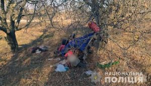 В ДТП в Донецкой области пострадало 3 ребенка. Один из пострадавших погиб