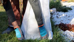 Чем укрыть растения на зиму: хитрости опытных садоводов и советы агронома