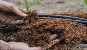 Хотел купить удобрения: В Лимане фермер отдал 200 тысяч аферистам