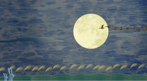 Лунные везунчики: кому особенно благоволит ноябрьское полнолуние