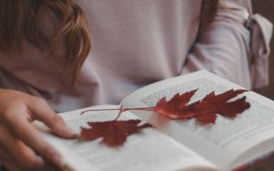 17 ноября: народный праздник и приметы, что нельзя делать