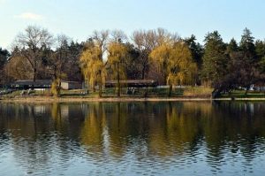 Земли Славкурорта возвращены громаде Славянска