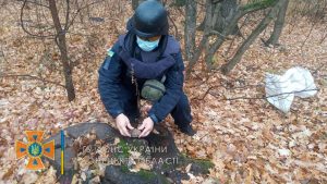 В лесу возле Богородичногопиротехники изъяли ручную гранату