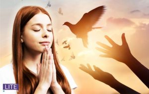 Свадьбы играть больше нельзя: что запрещено, а что можно делать 14 ноября