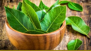 Як лавровий лист допомагає притягнути гроші: народні прикмети
