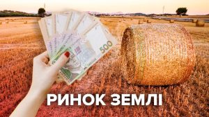 Донетчина по показателям сделок купли-продажи земель – на предпоследнем месте в Украине