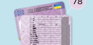 Как обменять водительские права старого образца по почте: разъяснение МВД