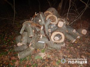 Славянские полицейские задокументировали незаконную порубку леса на территории Национального парка