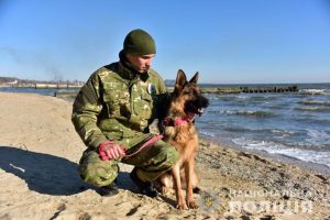 На Донетчине собаки помогли раскрыть свыше 430 преступлений с начала года