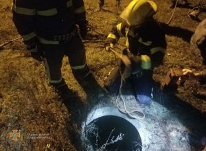 Рятувальники витягли з колодязя собаку