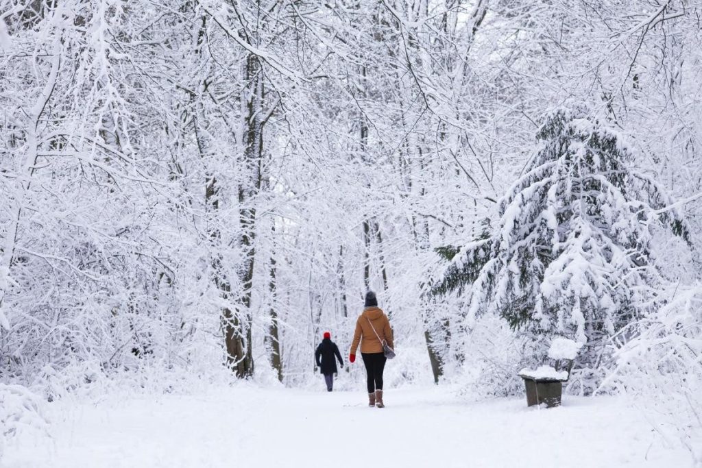 Метели и морозы -15: климатолог назвала дату снежного шторма в Украине