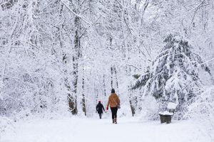 Метели и морозы -15: климатолог назвала дату снежного шторма в Украине