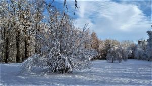 18 декабря: народный праздник, традиции и запреты дня