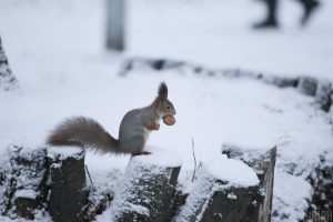 19 декабря 2021 – какой сегодня праздник, приметы и именинники, что сегодня нельзя делать