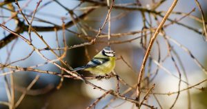 7 декабря: какой сегодня праздник, приметы, именинники и запреты