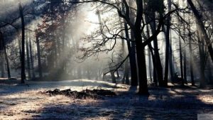 Приметы на 9 декабря: что категорически запрещается делать в этот день?