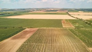 Новые налоги для владельцев паев: сколько и за что придется платить