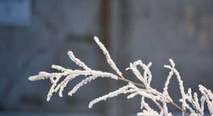 Первый день зимы: приметы и что нельзя делать