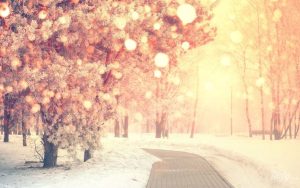 Гороскоп на 19 декабря для всех знаков Зодиака: день космической гармонии