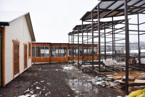 В Донецкой области будут выращивать хищных птиц, занесенных в Красную книгу Украины