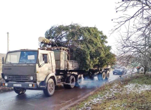 Новогодние елки Донетчины. Как их зажигали и сколько это стоило