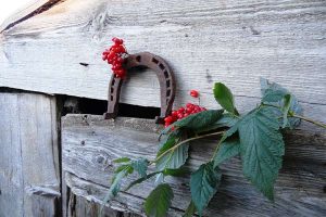 Пять находок, предвещающих богатство и успех: народные приметы