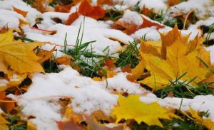 6 декабря: какой праздник отмечают, приметы на Митрофанов день и именинники