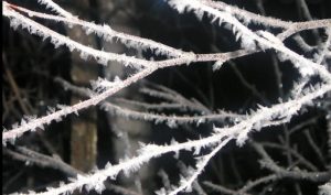 Приметы на 3 декабря: что категорически запрещается делать в этот день