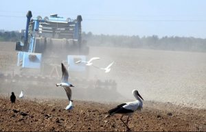 Украинцев заставят заплатить новый налог за огород: когда и сколько